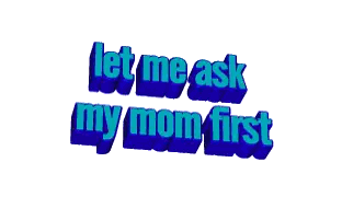Let Me Ask My Mom First Text