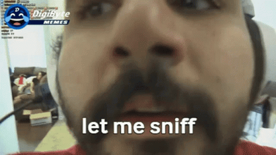 Let Me Sniff GIF