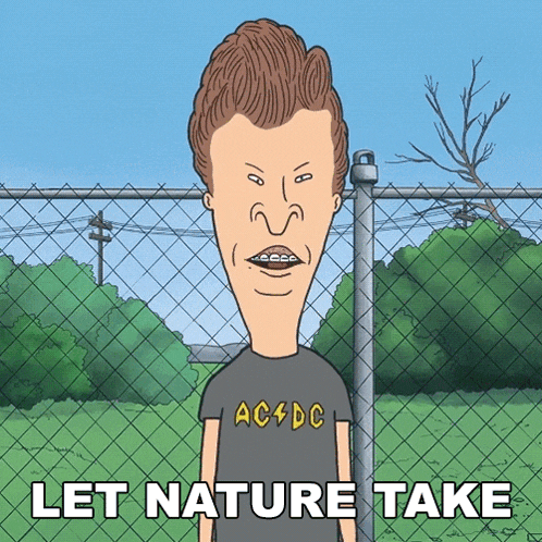 Let Nature Take Its Course Butt-head Gif GIF