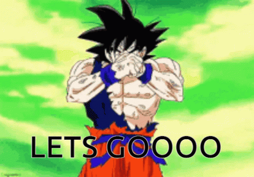 Let's Go Goku Dragon Ball GIF