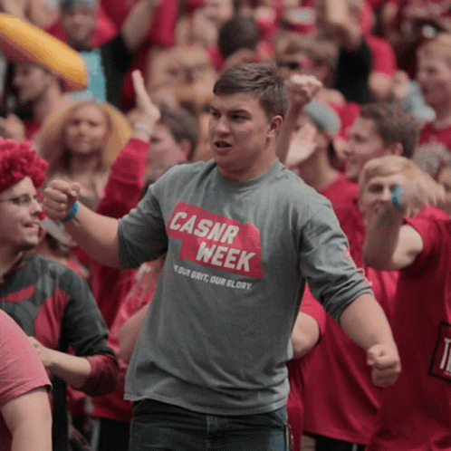 Let's Go Huskers Week GIF