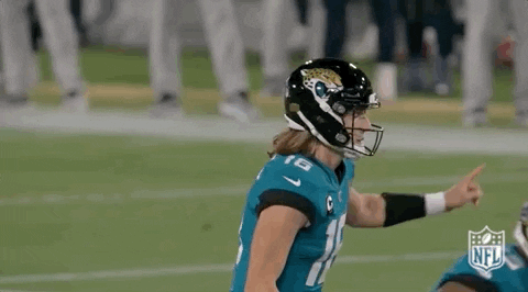 Let's Go Jags Duval GIF