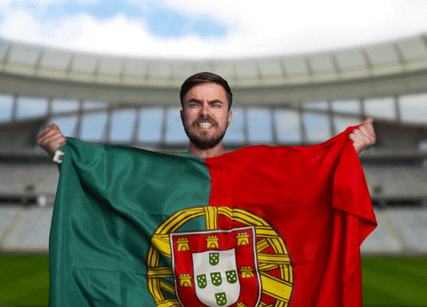 Let's Go Pepe Portugal Football GIF