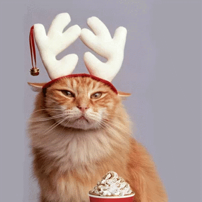 Let's Grab Drinks On Starbucks Red Cup GIF