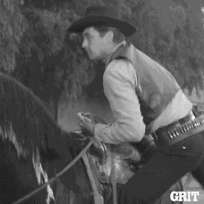 Let's Ride Man Getting On A Horse GIF