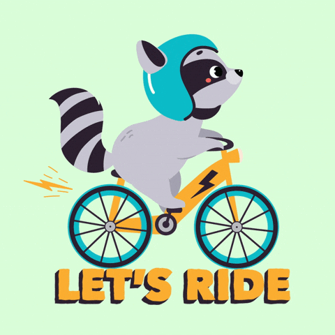 Let's Ride Racoon Riding A Bicycle GIF