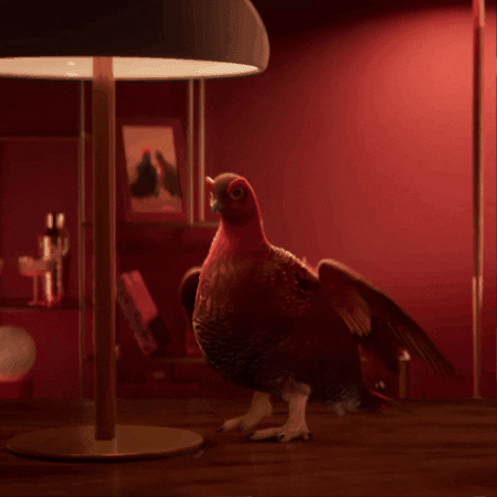 Let There Be Light Naughty Bird Animation GIF
