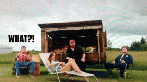 Picnic Letterkenny What GIF