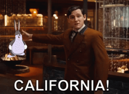 Lewis Pullman California GIF