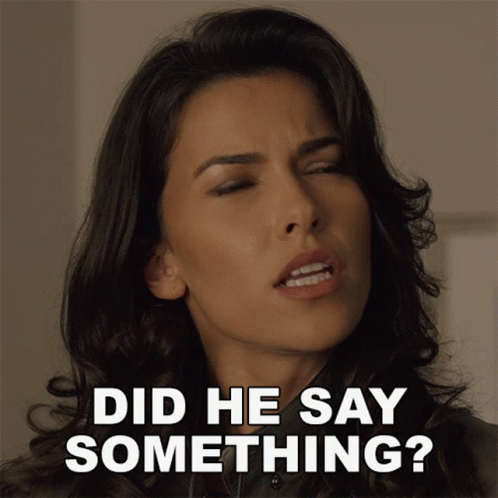 Lexi Vaziri Irritable What Did He Say GIF