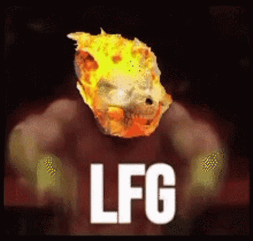 Lfg Fighting Ring GIF