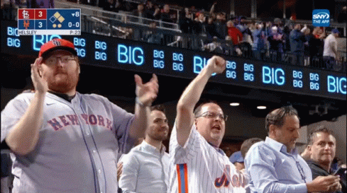 Lfgm New York Fans GIF