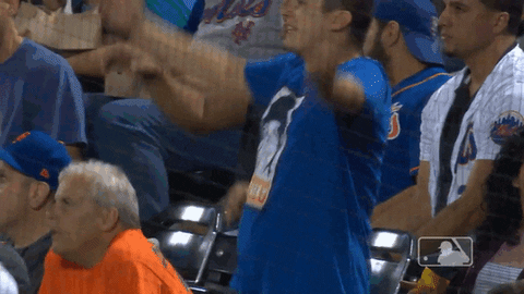 Lfgm New York Mets Fan GIF