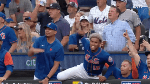 Lfgm New York Mets Winning Reaction GIF