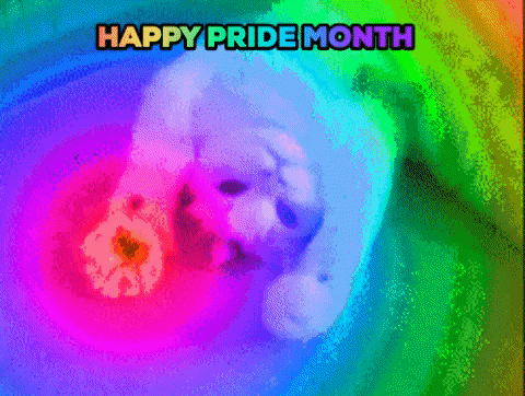 Lgbt Cat Colors GIF