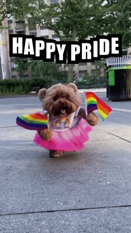 Lgbt Dog With Flag GIF