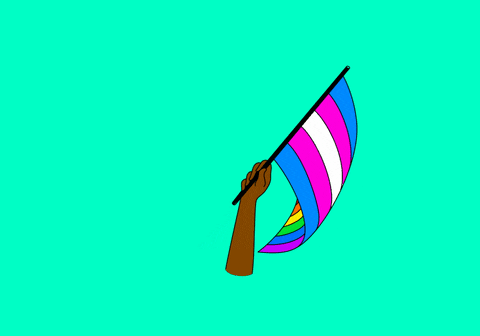 Lgbt Waving Flag GIF