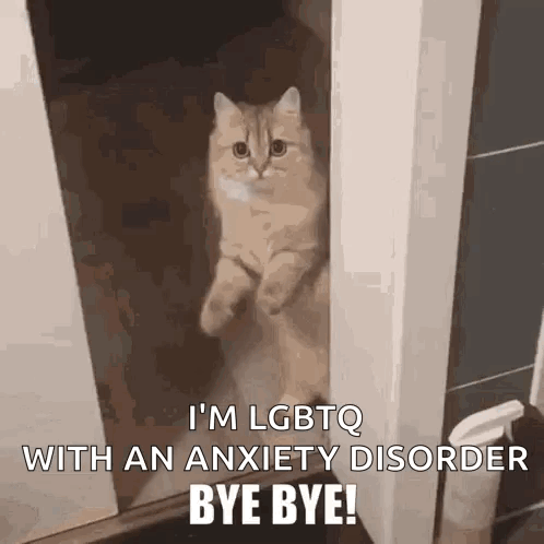 Lgbtq Pet Lgbtq Artists GIF
