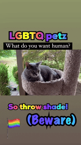 LGBTQ Petz Asking What Do You Want