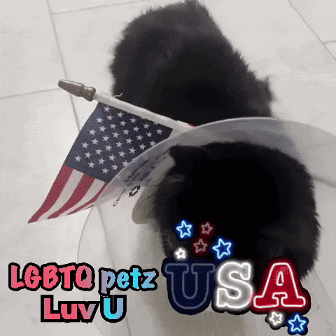LGBTQ Petz USA Black Dog
