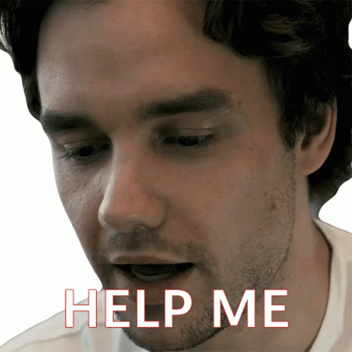 Liam Payne Send Help GIF