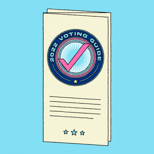 Liberal Voting Guide GIF