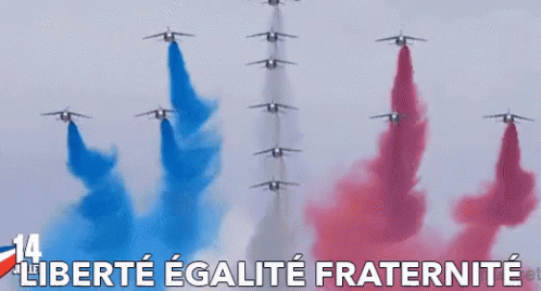 Liberte Egalite Fraternite Bastille Day Planes GIF