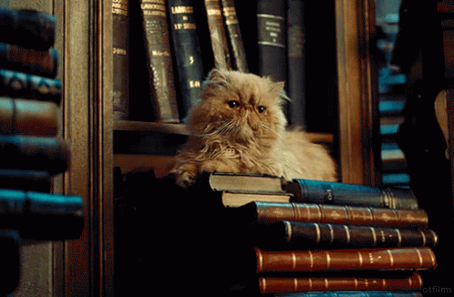 Library Cat Protecting The Books GIF