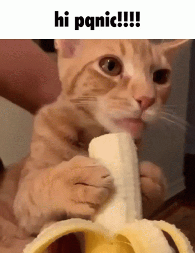 Licking Banana Cat Meme GIF