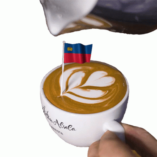 Liechtenstein Café Latte Art GIF