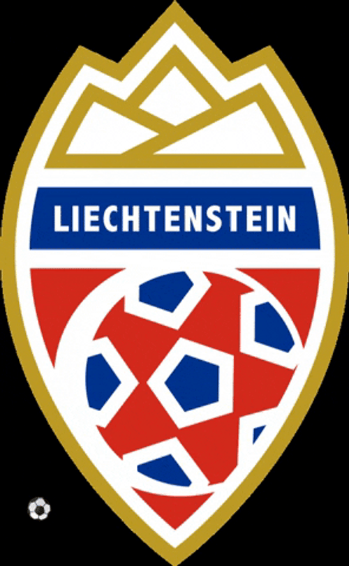Liechtenstein Football Association GIF