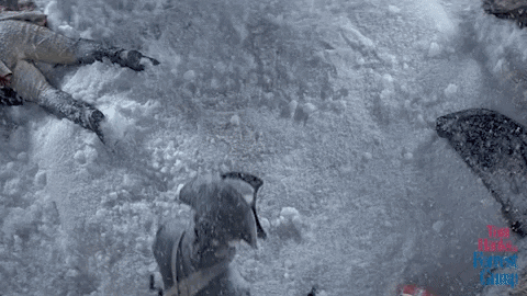 Lieutenant Dan 480 X 270 Gif GIF