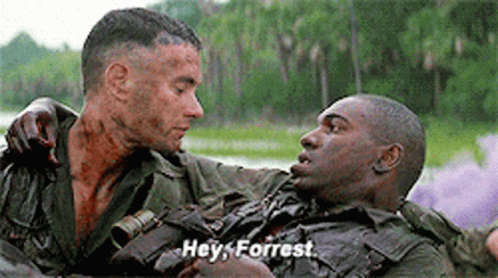 Lieutenant Dan Bubba Blue Hey Forrest GIF
