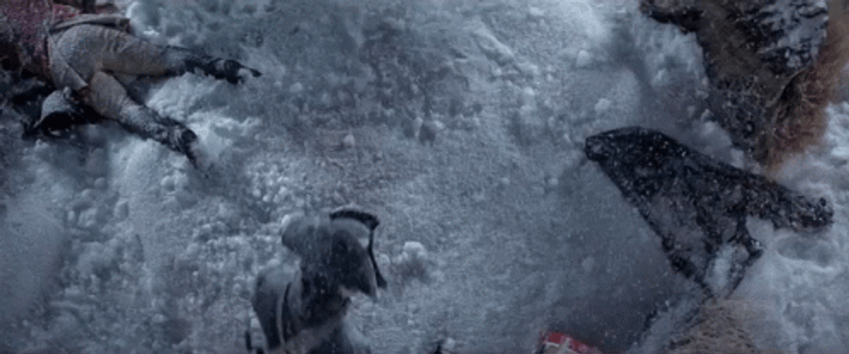 Lieutenant Dan Falling On The Ground GIF