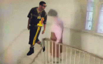 Life Alert Lola Fell Down The Stairs GIF