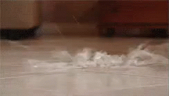 Life Alert Lola Suffer A Heart Attack GIF