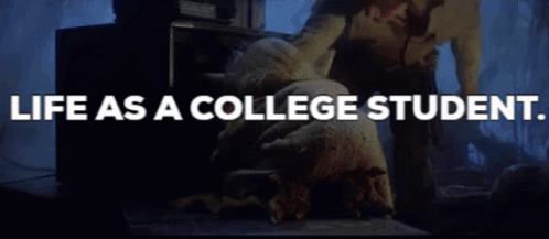 Life As A College Student Searching For Unknown GIF
