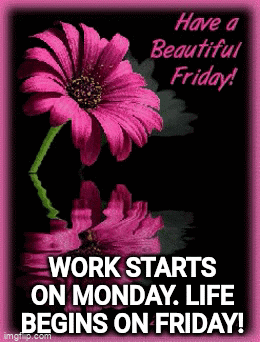 Life Begins At Friday Work GIF