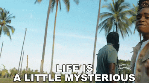 Life Is A Little Mysterious GIF