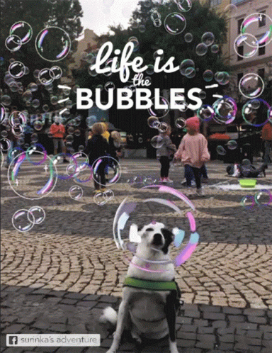 Life Is Bubbles GIF