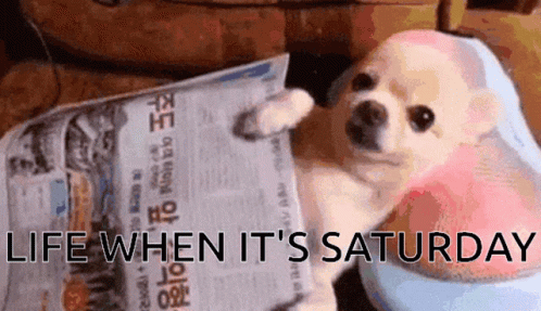 Life When Its Lazy Saturday GIF