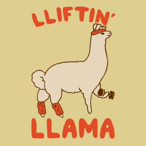 Lifting Weights Llama GIF