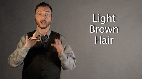 Light Brown Hair Sign Language GIF
