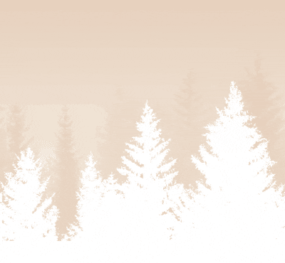 Light Brown Pine Trees Landscape GIF