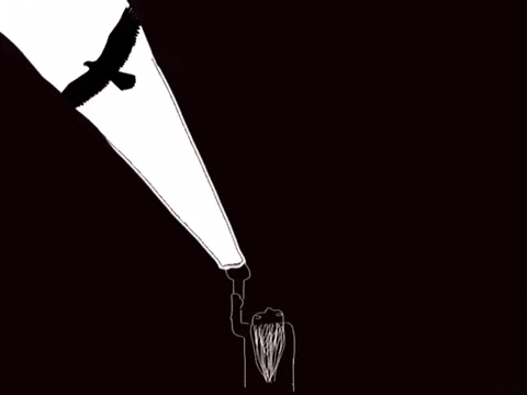 Light Hunting Bald Eagle GIF