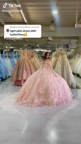 Light Pink Ball Gown GIF