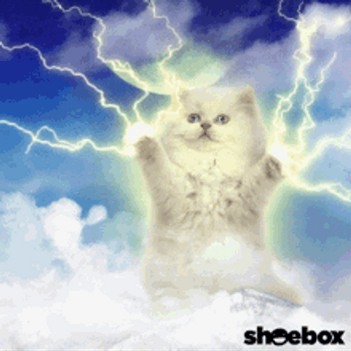 Lightning Cat Paws GIF