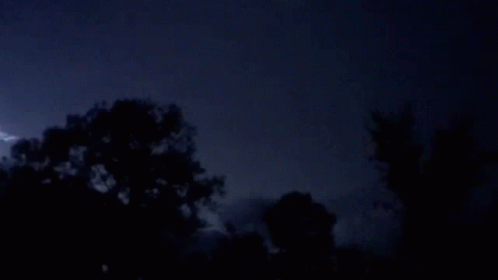 Lightning Strikes Behind Trees at Night