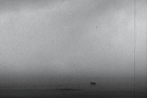 Lightning Strikes Inside Dust Storm GIF