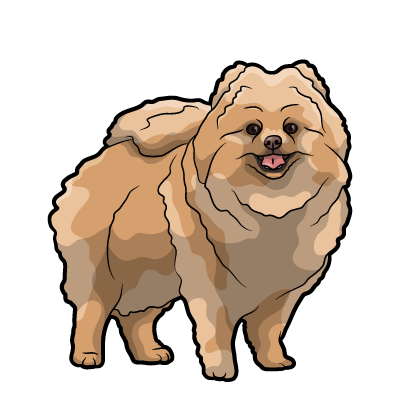 Like A Boss Chow Chow GIF